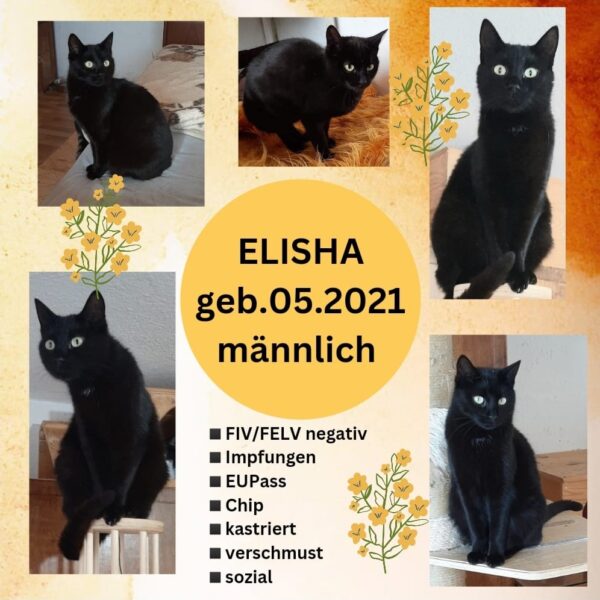 Elisha