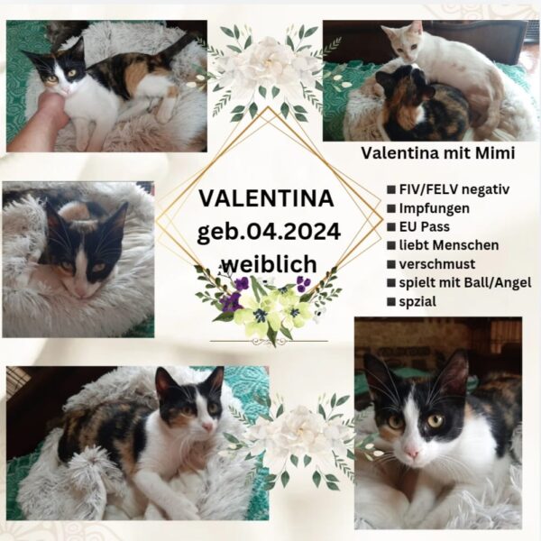 Valentina in Bulgarien