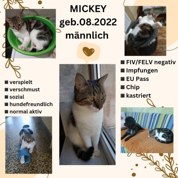 Mickey
