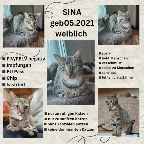 Sina