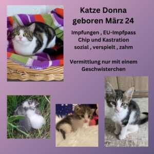 Donna