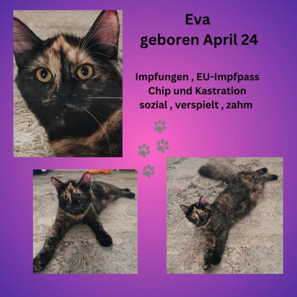 Eva