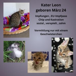 Leon