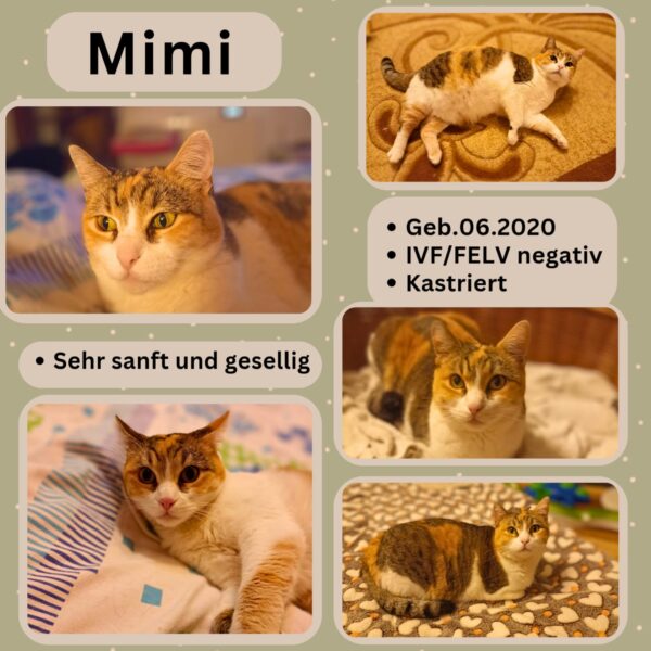 Mimi