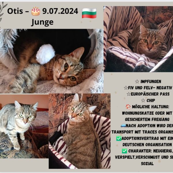 Otis