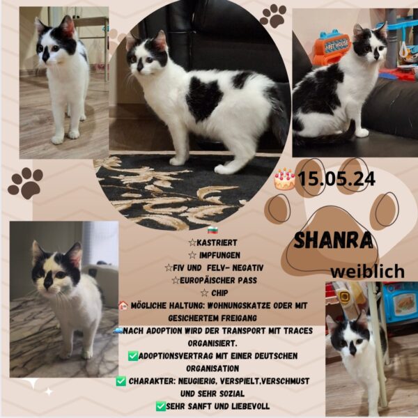 Shanra