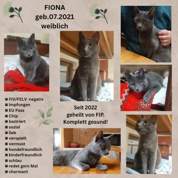 Fiona