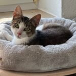 ohne-name