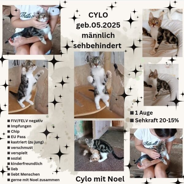 Cylo