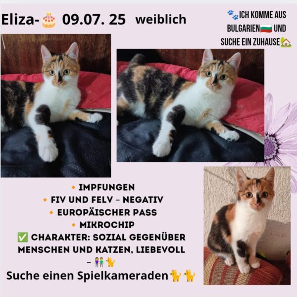 Eliza