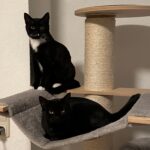 WhatsApp Image 2025-12-17 at 18.55.08