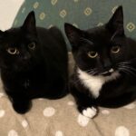 WhatsApp Image 2025-12-17 at 18.55.21