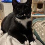 WhatsApp Image 2025-12-17 at 18.56.02