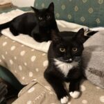 WhatsApp Image 2025-12-17 at 18.56.50