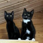 WhatsApp Image 2025-12-17 at 18.57.34