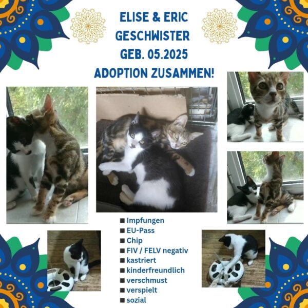 Elise & Eric