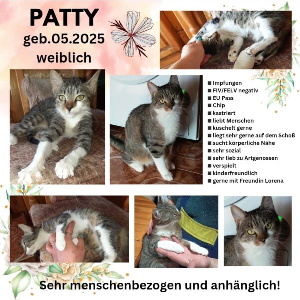 Patty