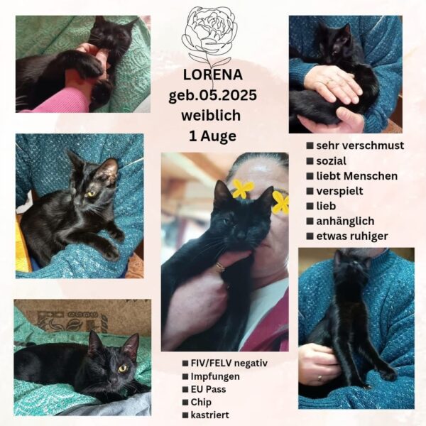 Lorena