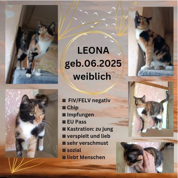 Leona