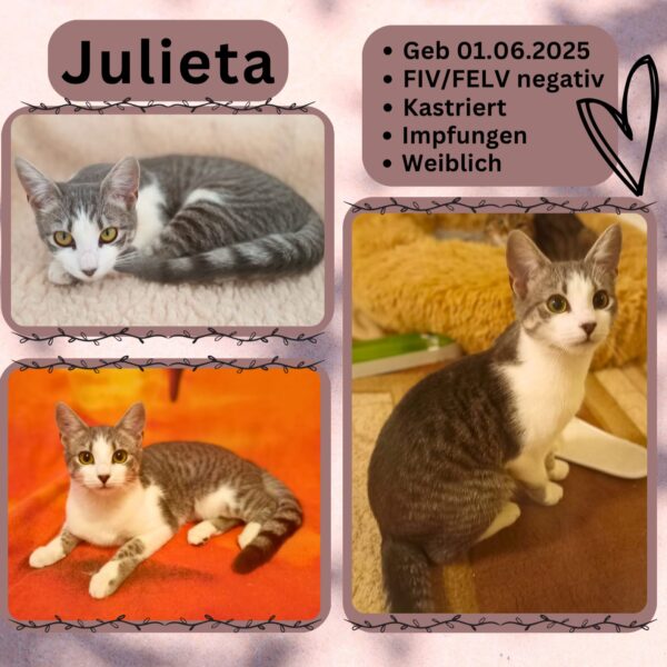 Julieta