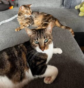 Michaela & Lucky