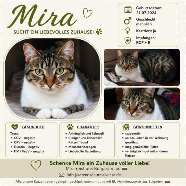 Mira