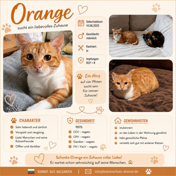 Orange