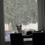 Oliver