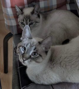 Remmy & Leila