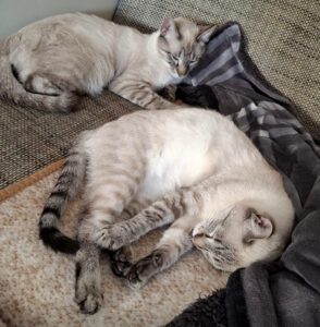 Remmy & Laila