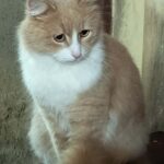 Eddy