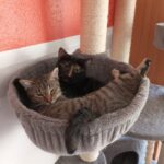 Delia & Mizi