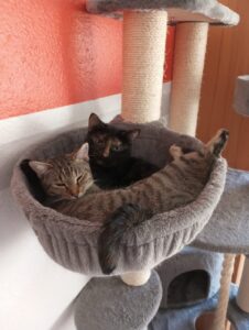 Delia & Mizi