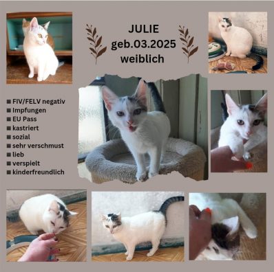 Julie